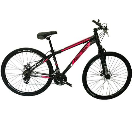 Bicicleta Firebird mtb R29 - Vista principal