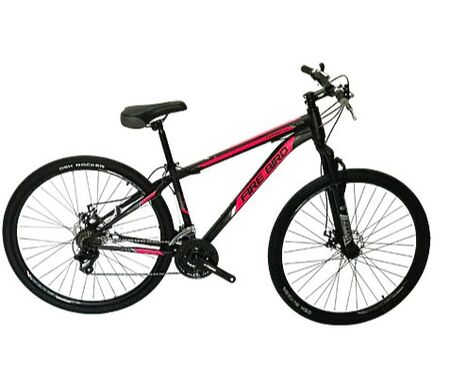 Bicicleta Firebird mtb R29