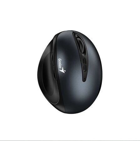 Mouse Genius Ergo 8300S Iron Grey