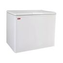 Freezer Neba F310 305L - Miniatura 1