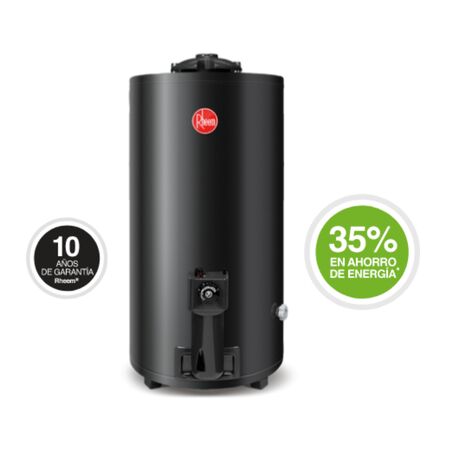 TERMOTANQUE RHEEM TGNP080RH DE PIE - 80LTS, C. SUP, GN, AEE