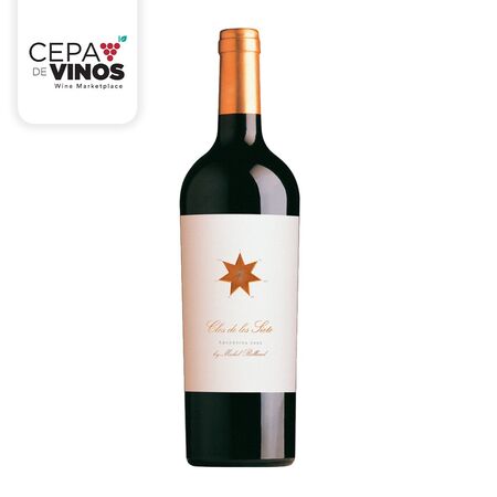 Vino Blend Clos de Los Siete