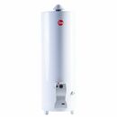 Termotanque Rheem a Gas 120 Litros Pie TPG120GNRH Garantia 10 Años - Miniatura 1