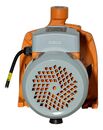 Bomba Centrifuga Lüsqtoff Cpm180 1.5hp 1100w - Miniatura 4