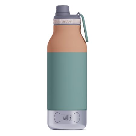 Botella Asobu Buddy 1L  210 ml  270 ml - Pastel Green