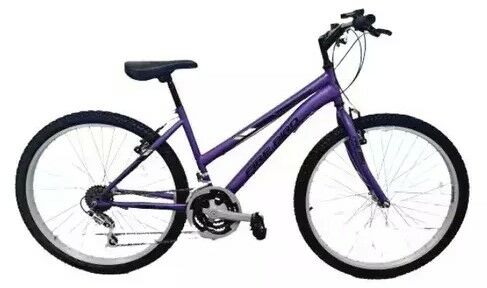 Bicicleta Firebird mtb R24 Violeta - Vista principal