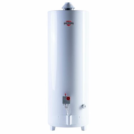 Termotanque Sherman 120 Litros a gas pie Fabrica Rheem