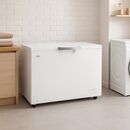Freezer horizontal Gafa 316L FGHF300B-L Blanco - Miniatura 5