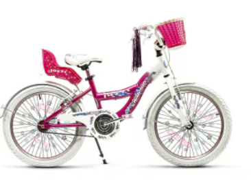Bicicleta Raleigh jazzi R20
