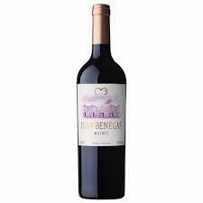 Juan Benegas Malbec - Vista principal