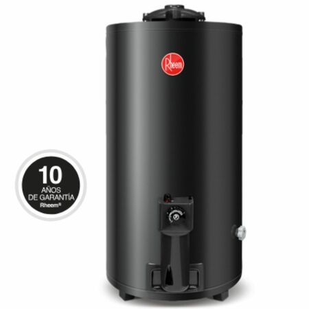 Termotanque Rheem a Gas Performance 80 litros de pie TGNP080RH