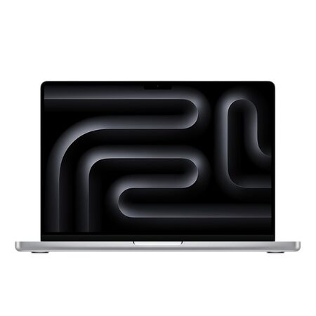 Apple Macbook Pro M4 Chip With 10?core Cpu And 10?core Gpu, 24 Gb 1 Tb Ssd  Silver