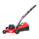 Cortadora De Cesped Petri Con Bolsa 1300w. 3|4 Hp. - Miniatura 4