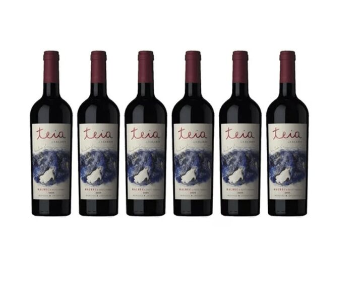 Vino Teia Malbec Petit Verdot x 6 unidades G-AC037 - Vista principal