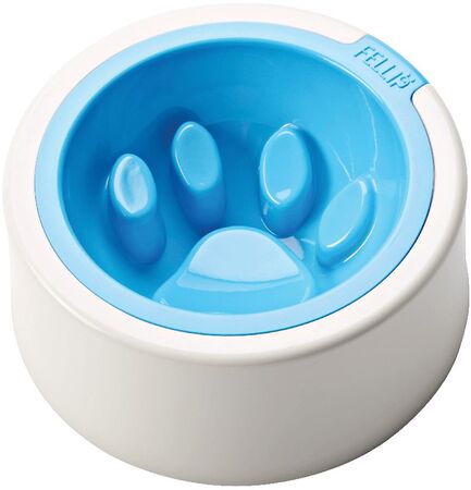 Bowl Para Mascotas Kaleido Good Manners Aqua Bone X COCOONING - 11742